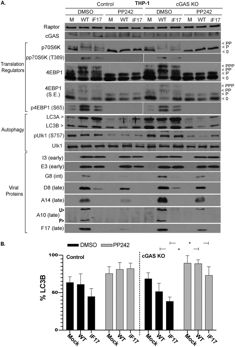 FIG 3