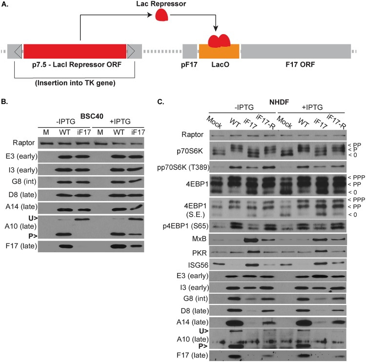 FIG 6