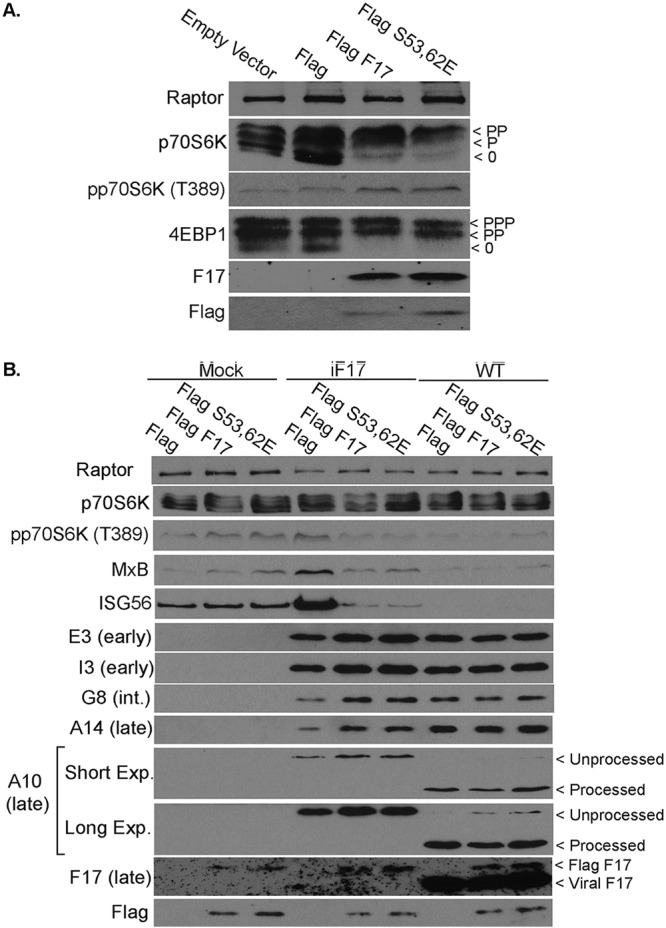 FIG 9