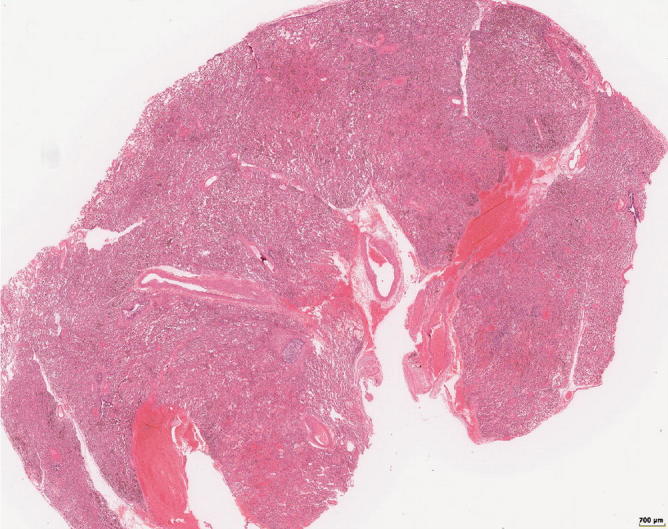 Fig. 31.23