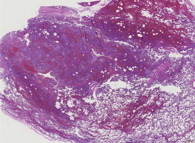Fig. 31.1
