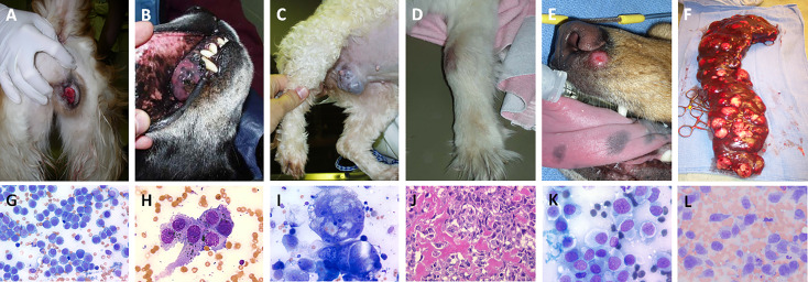 Figure 2