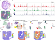 Extended Data Fig. 5