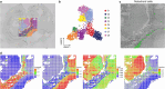 Extended Data Fig. 7