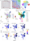 Extended Data Fig. 9