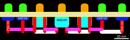 Fig. 5.