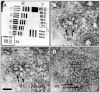 Fig. 11