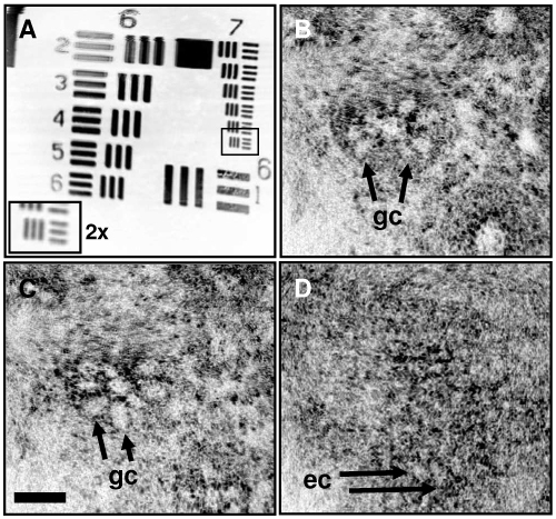 Fig. 11