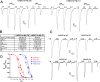 Figure 3—figure supplement 5.