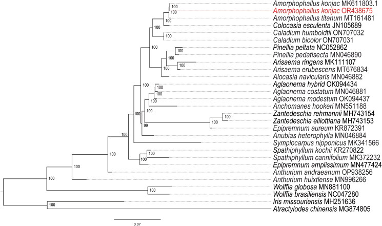 Figure 3.