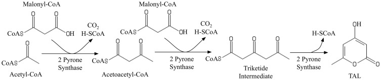 Figure 8