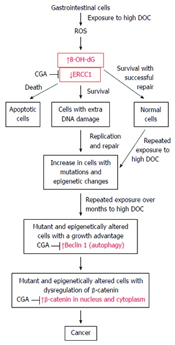 Figure 18