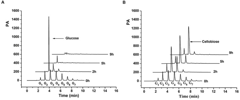 FIGURE 4