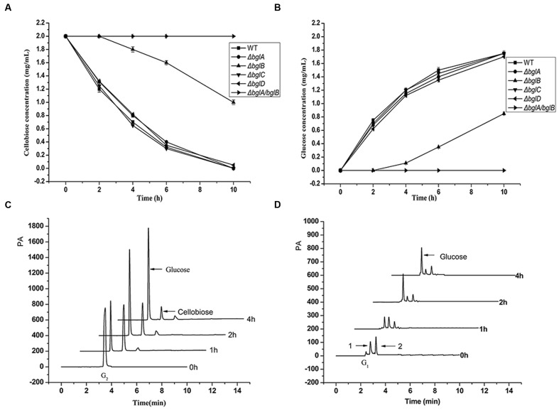 FIGURE 3