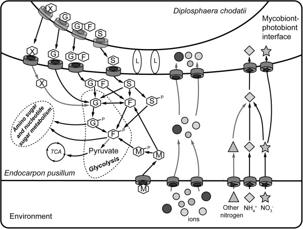 Figure 10