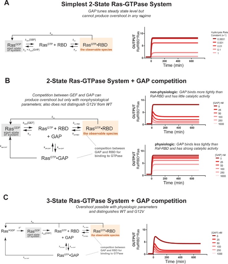 Figure 3—figure supplement 2.