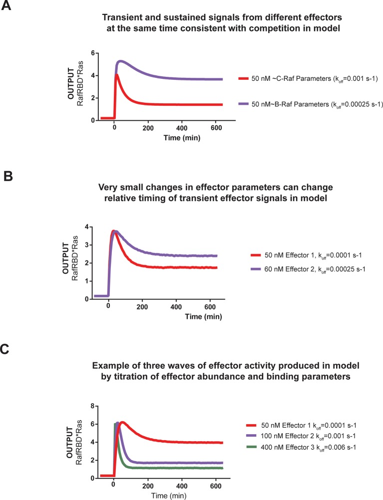 Figure 6—figure supplement 2.