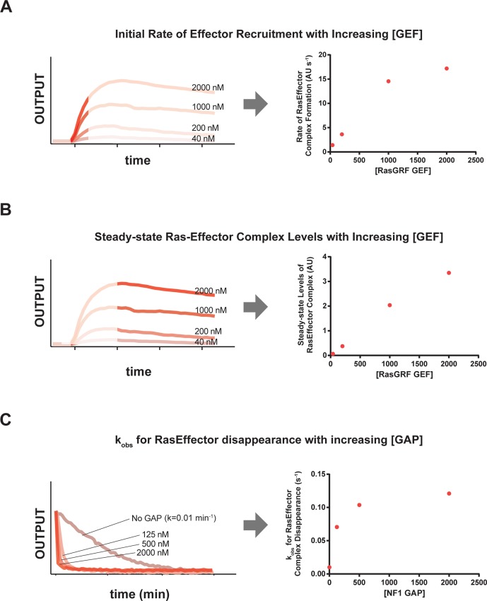 Figure 2—figure supplement 1.