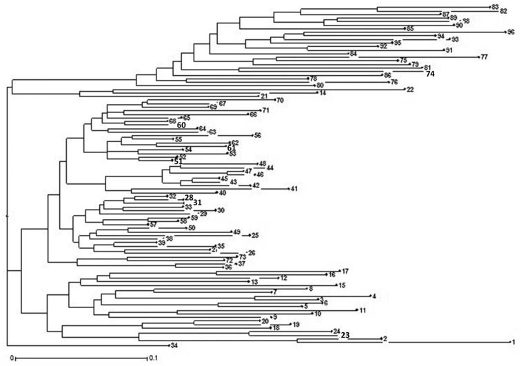 Fig 2