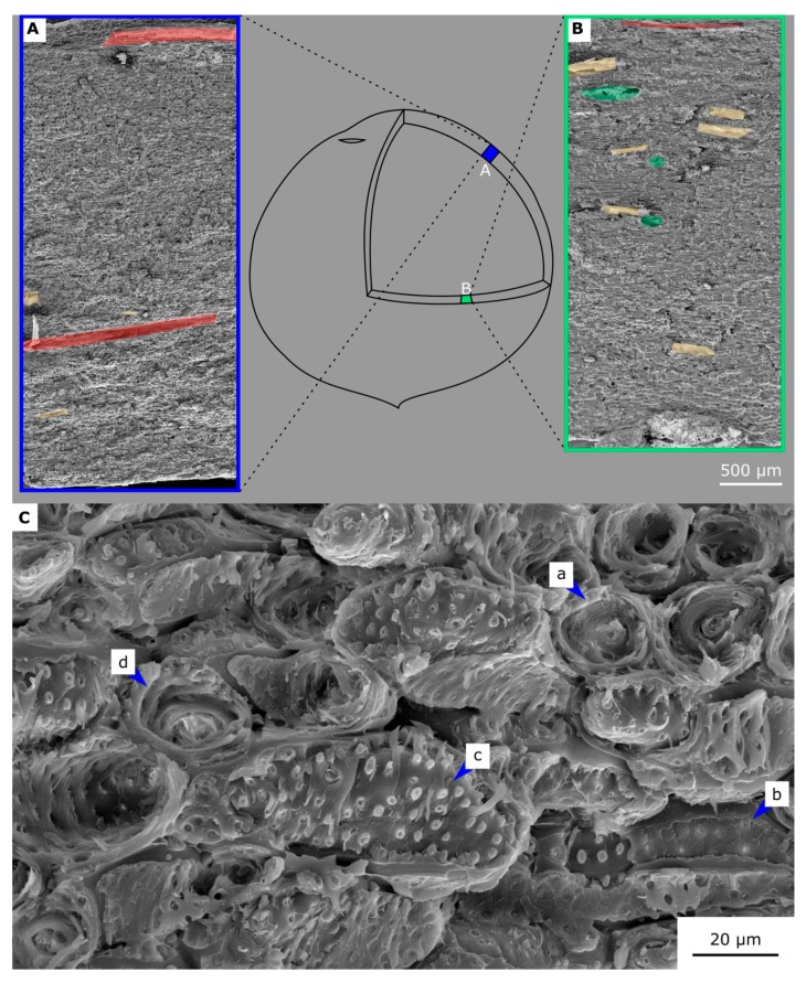 Figure 11