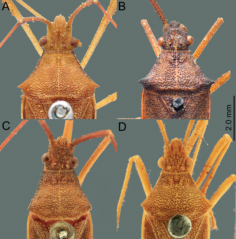 Figure 13.
