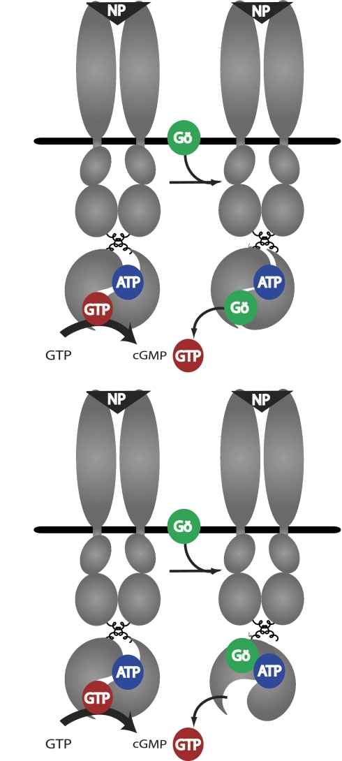 FIGURE 7.