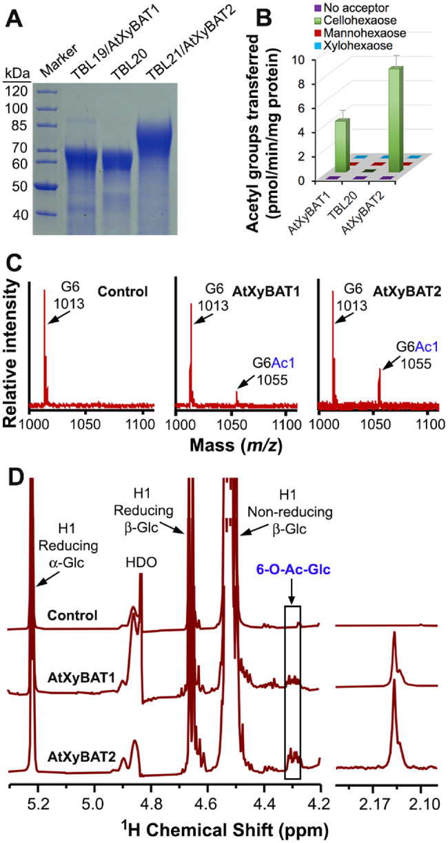 Fig. 10