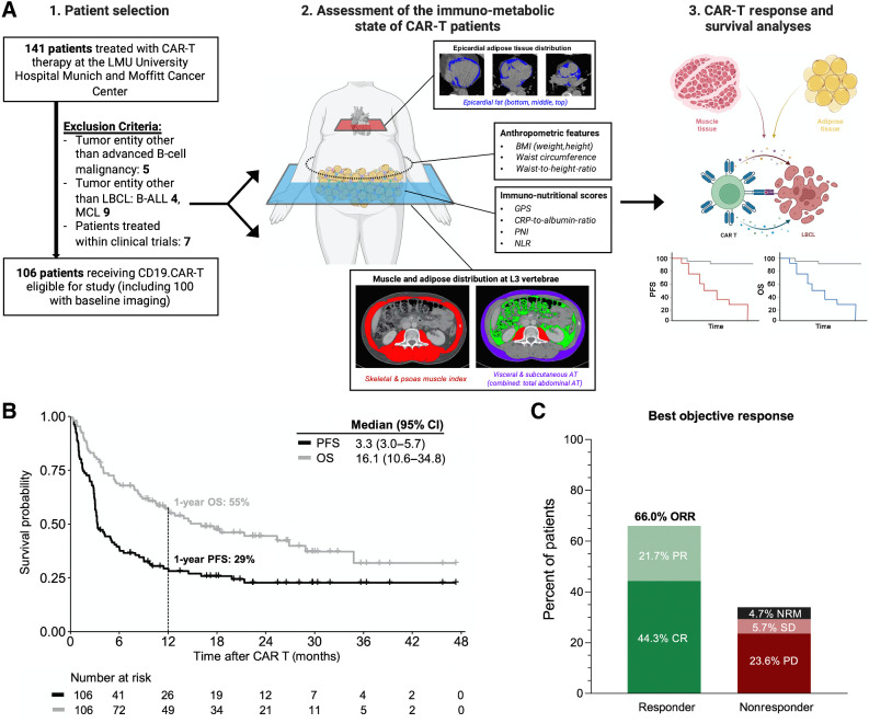 Figure 1. The study cohort exhibits representative real-world clinical outcomes. A, Schema outlining from 1 to 3 (left to right): The study cohort with key exclusion criteria, methods of body composition measurements and assessment of the patient-individual immunometabolic state, and the study endpoints. B, Kaplan-Meier estimates of PFS (dark gray) and OS (light gray) for the entire study cohort (n = 106). Median survival in months and 1-year survival are depicted. C, Best objective response rate (ORR) at day 90 as determined according to Lugano criteria. Abbreviations: CR, complete remission; PR, partial remission; SD, stable disease; PD, progressive disease; NRM, nonrelapse mortality.