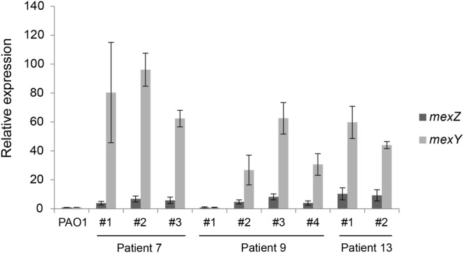 Figure 2