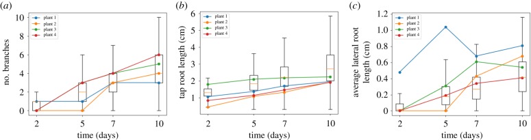 Figure 4.