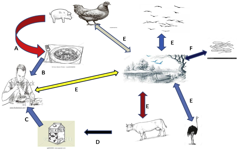 Fig. 2