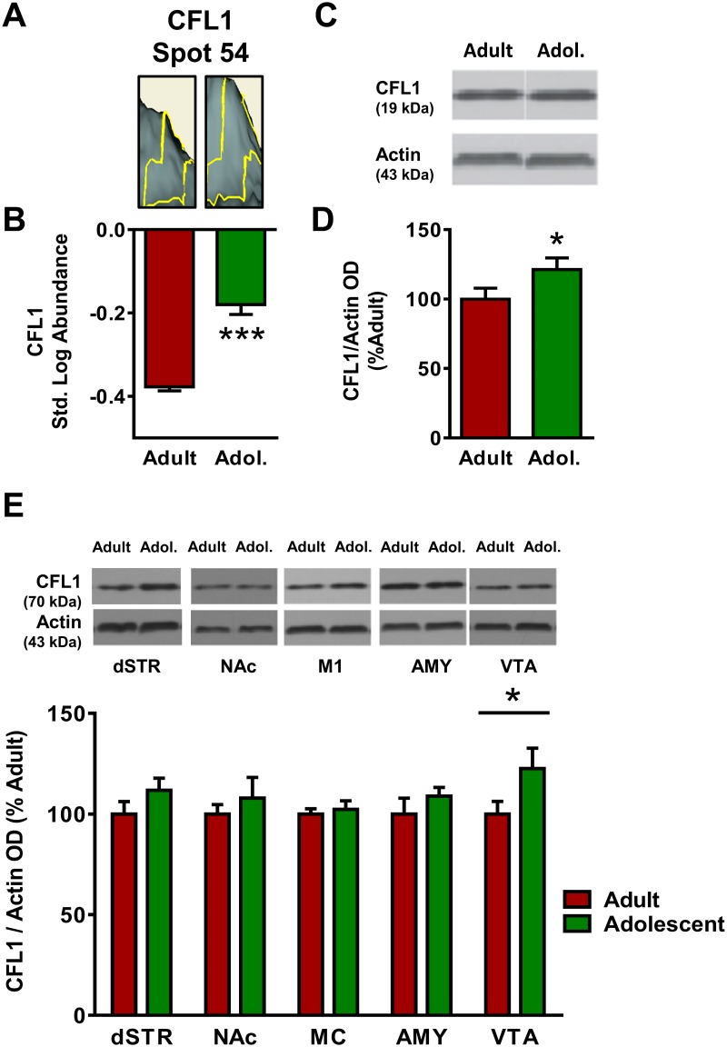 Fig 8