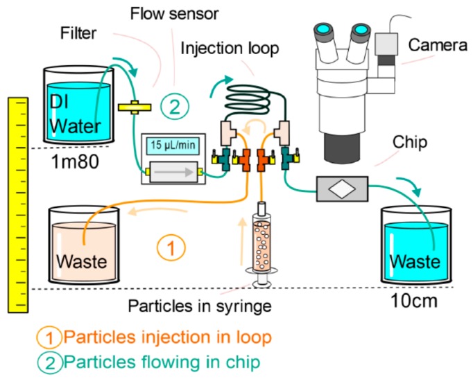 Figure 10