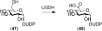 Scheme 18