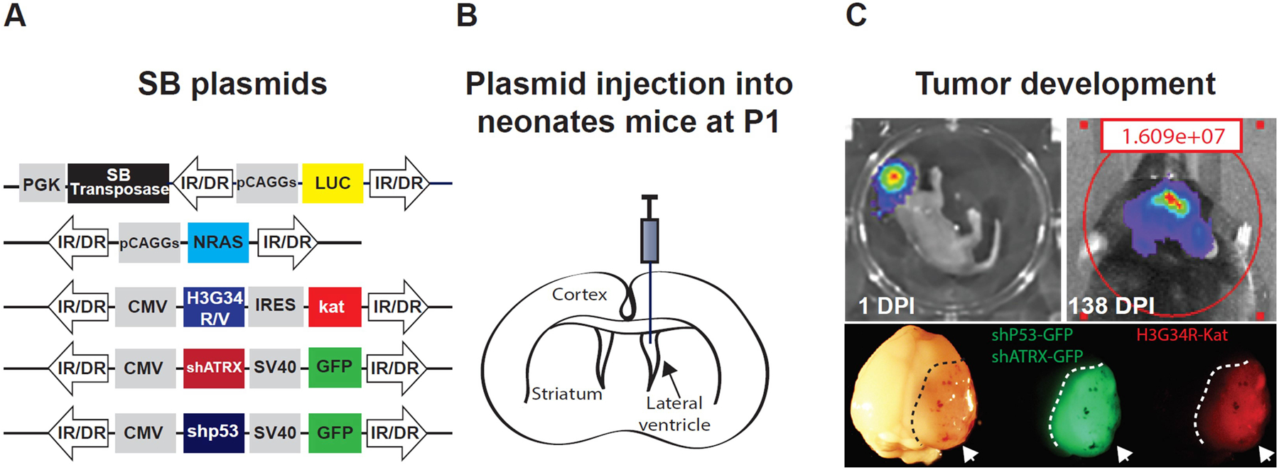 Figure 1.