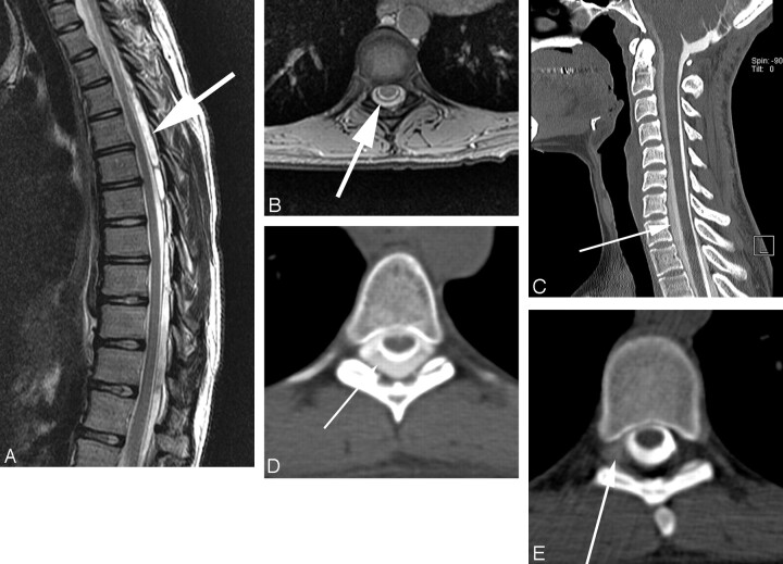 Fig 2.