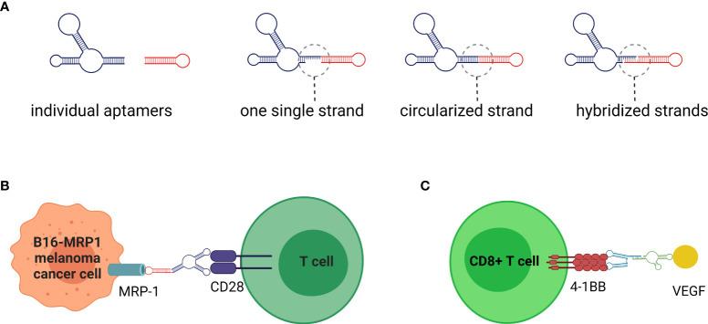 Figure 4