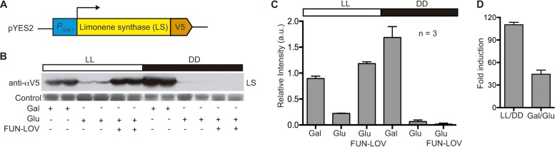 FIG 4 