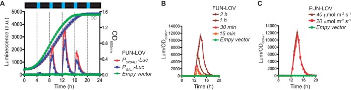 FIG 3 