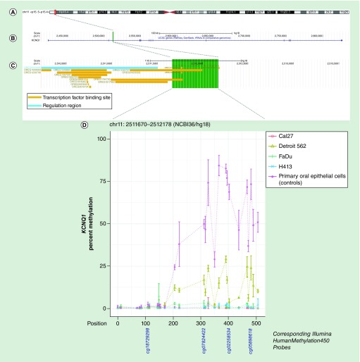 Figure 3. 