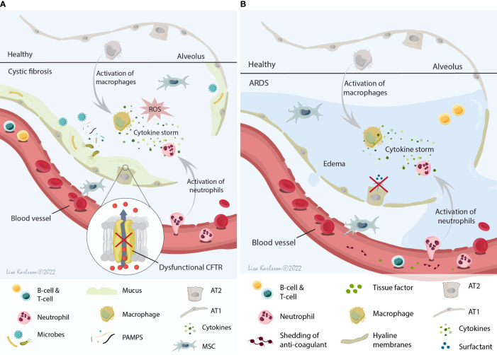 Figure 2