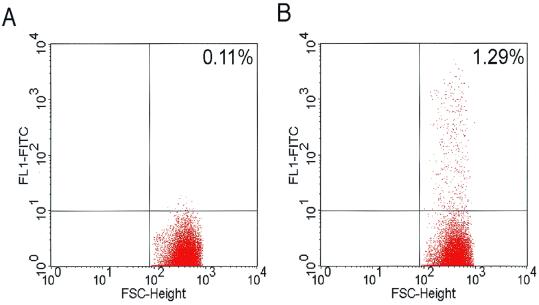 FIG. 5