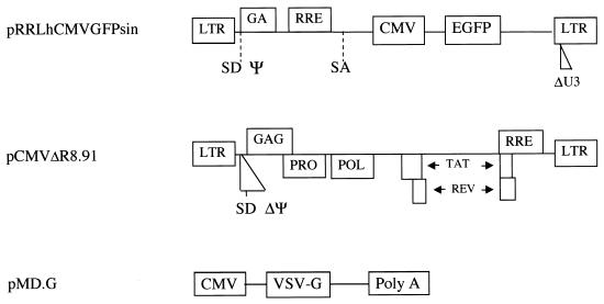 FIG. 1