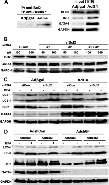 FIGURE 9.