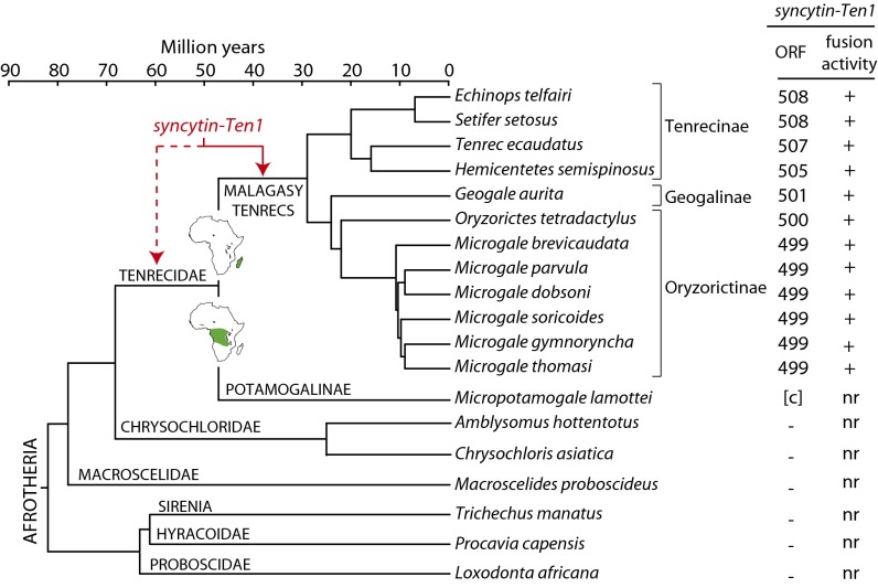 Fig. 8.