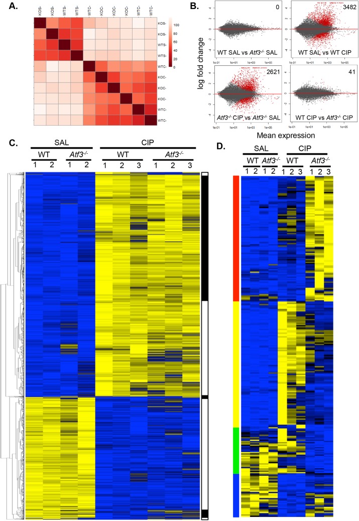 FIGURE 3: