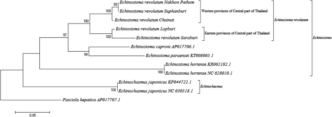 Fig. 2