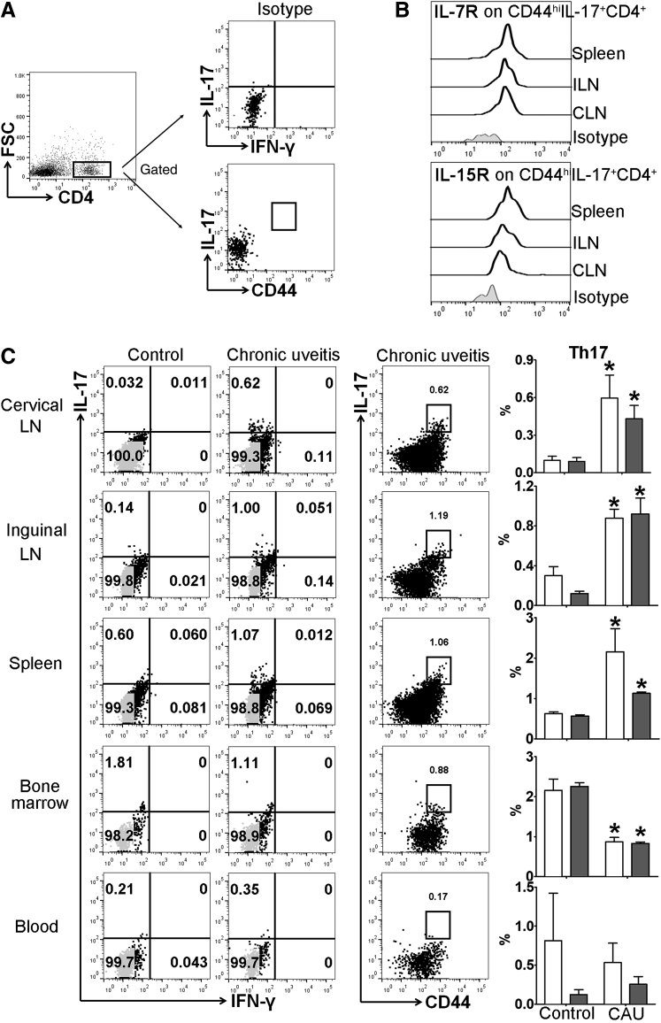 Figure 6