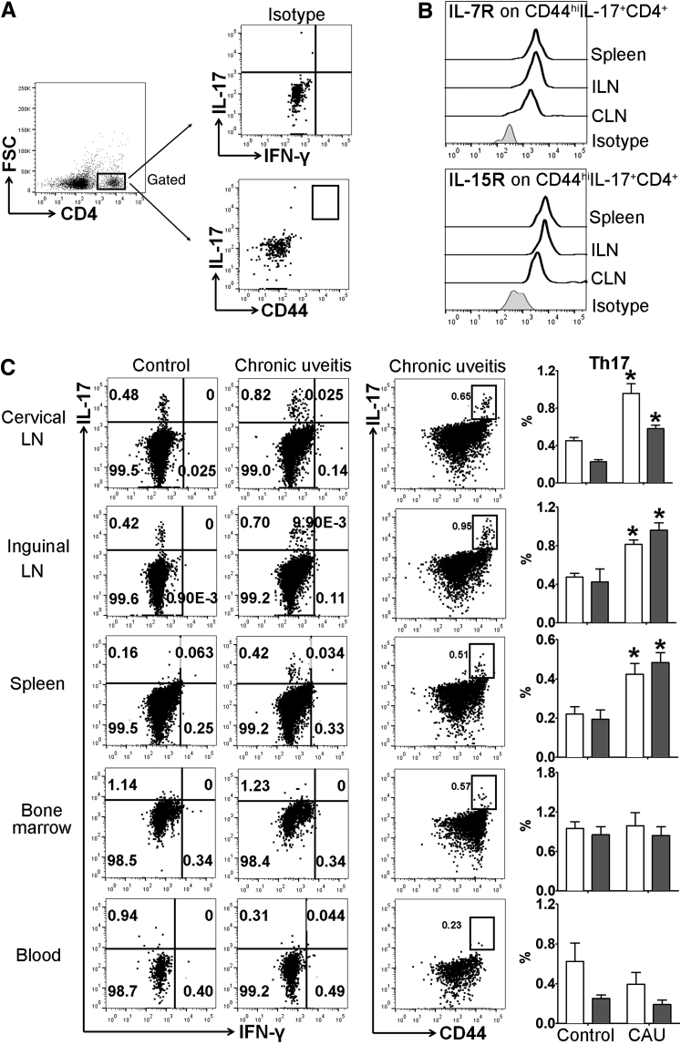 Figure 7