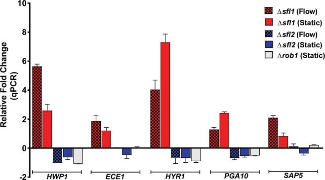 Fig 6